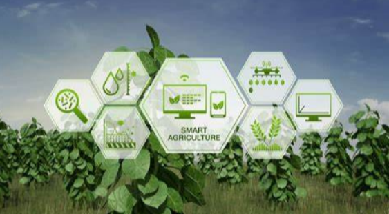 智慧農業.png