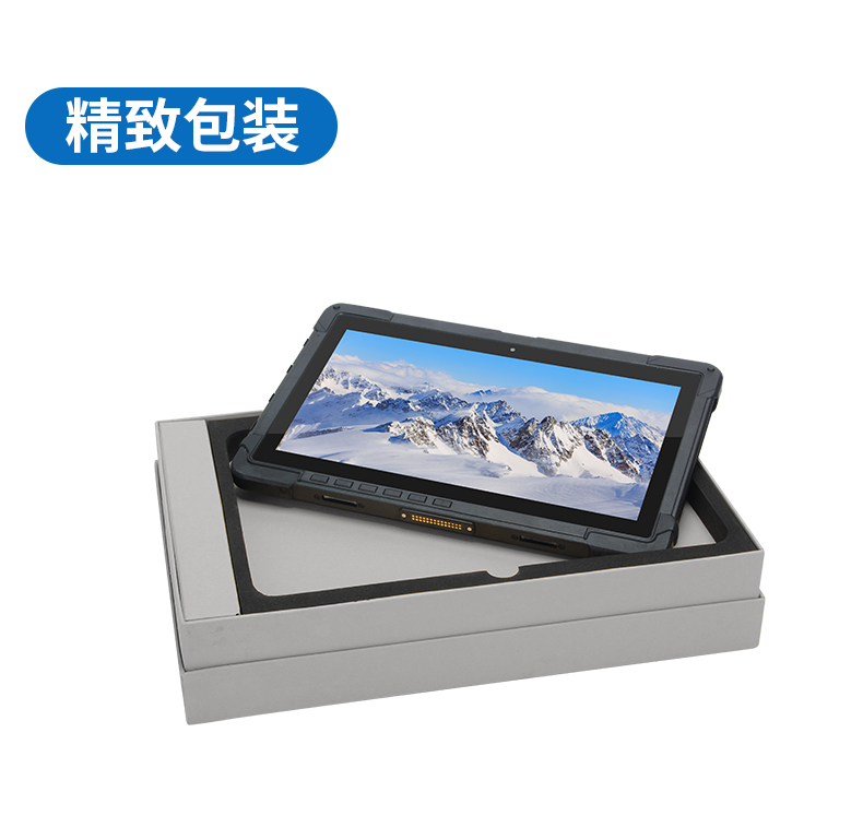 10英寸工業平板電腦,IP65防護三防加固平板,DTZ-I1108E.jpg