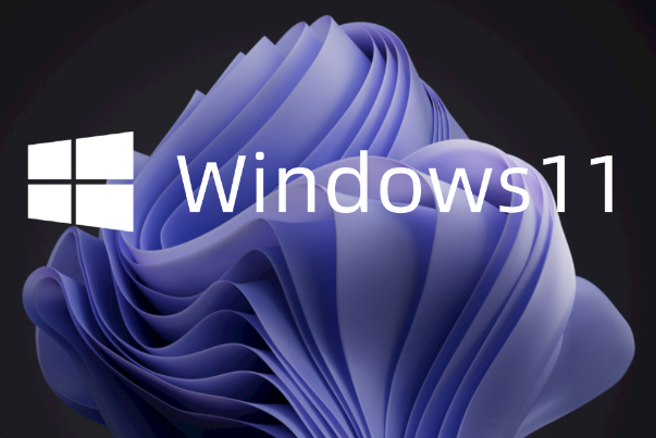 Windows 11系統.png